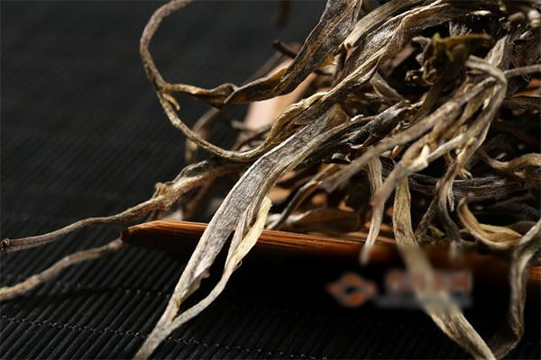 行业新闻免费无码av片在线观看麻豆技术先进，经验丰富