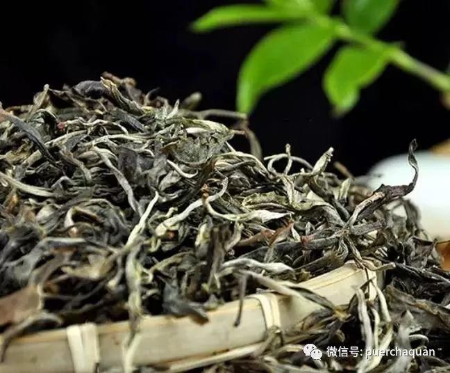 徕卡MP240配镜头无码欧美gogo大胆啪啪性，经典与现代的完美碰撞，摄影艺术的新高度