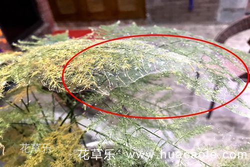 A6500配镜头免费无码av片在线观看麻豆，解锁摄影新境界，打造视觉艺术巅峰